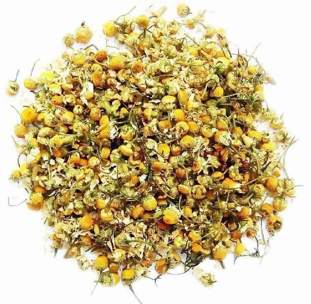 Chamomile